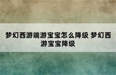 梦幻西游端游宝宝怎么降级 梦幻西游宝宝降级